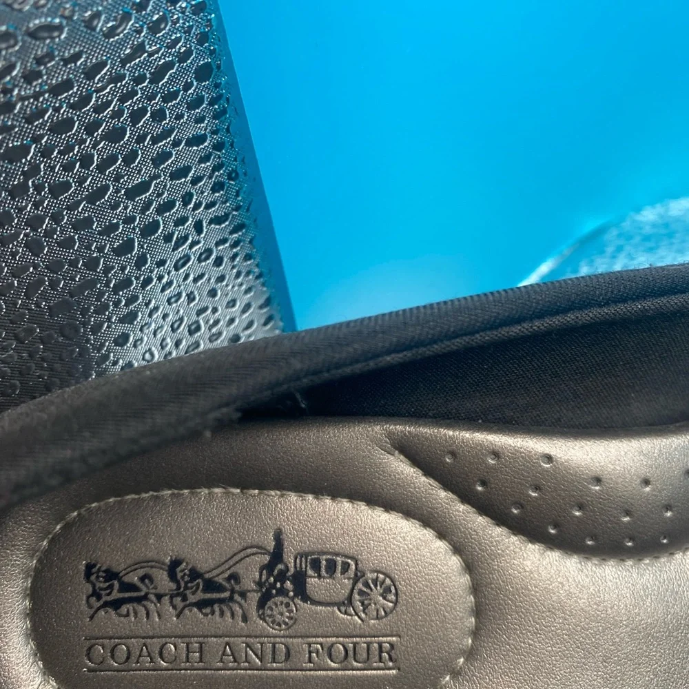 Coach and Four Pumps